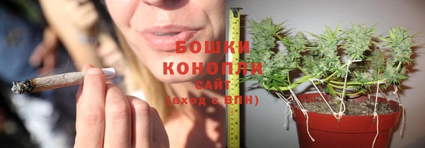 молекула духа Остров
