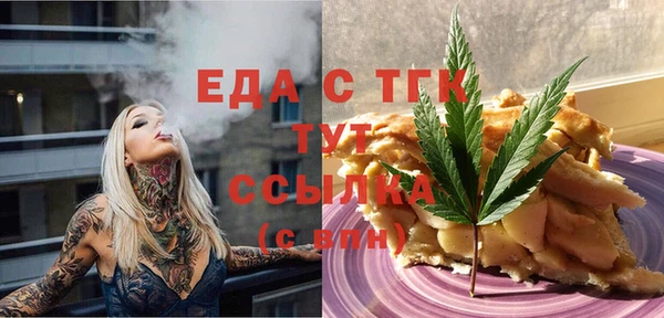 спиды Ельня