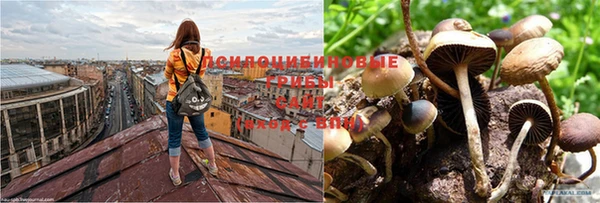 молекула духа Остров
