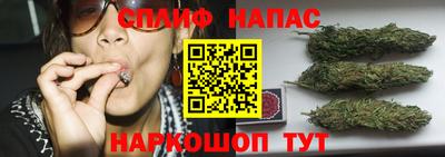 тгк Гусь-Хрустальный