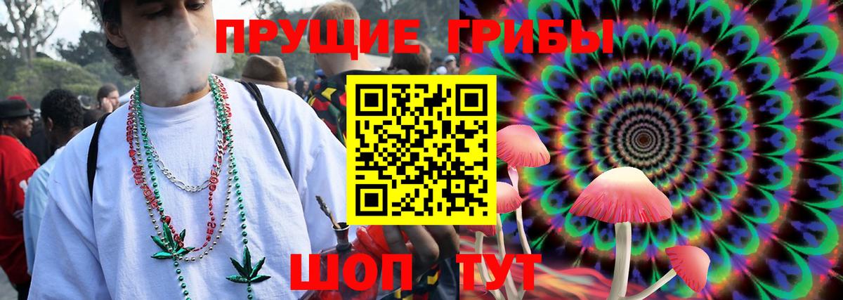 Калач-на-Дону  Галлюциногенные грибы Cubensis  Вход с VPN 